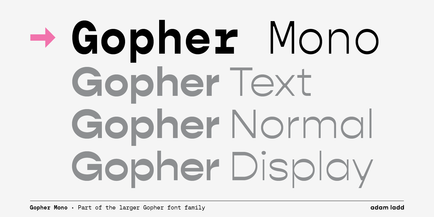 Przykład czcionki Gopher Mono Light